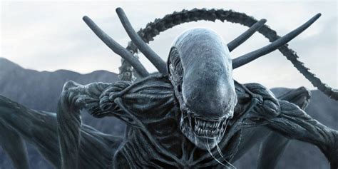  Xenomorph: Le Horreur Extraterrestre Qui Vous Hante dans Vos Cauchemars !